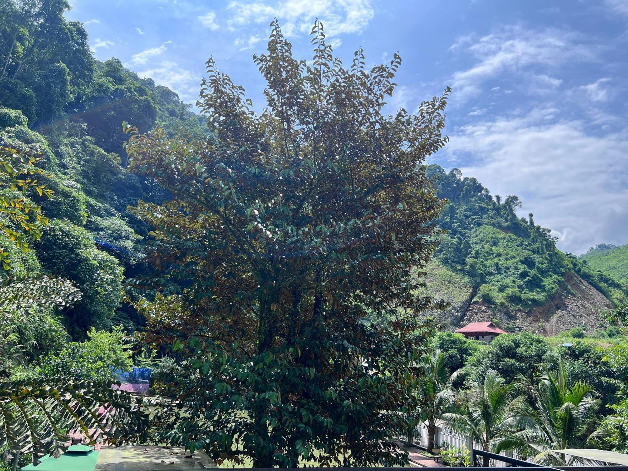 Wind'S House Ha Giang Bed & Breakfast ภายนอก รูปภาพ